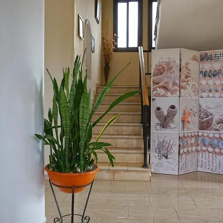 Paradise Villa